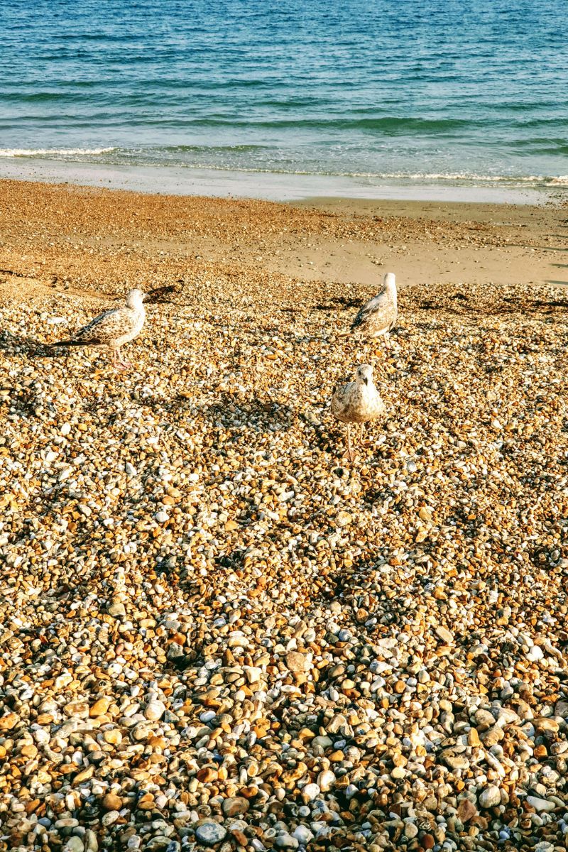 17 Reasons I’m Actually Excited for Summer (Style, Life & Joy After 50) 17 Reasons I’m Actually Excited for Summer (Style, Life & Joy After 50)