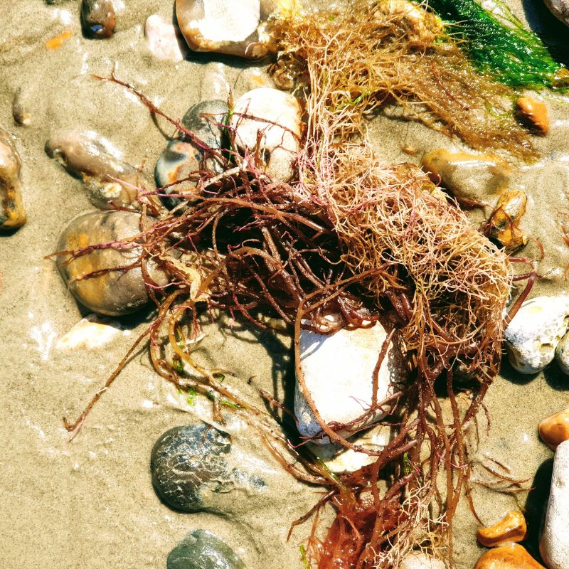 17 Reasons I’m Actually Excited for Summer (Style, Life & Joy After 50) 17 Reasons I’m Actually Excited for Summer (Style, Life & Joy After 50)