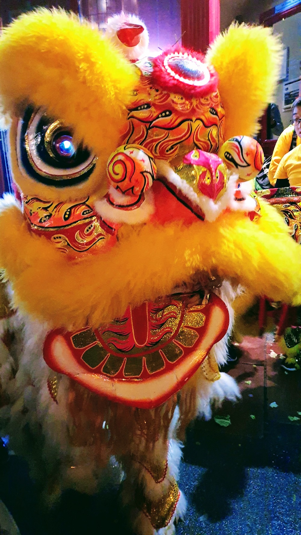 Stumbling Upon Chinese New Year Celebrations- Brighton