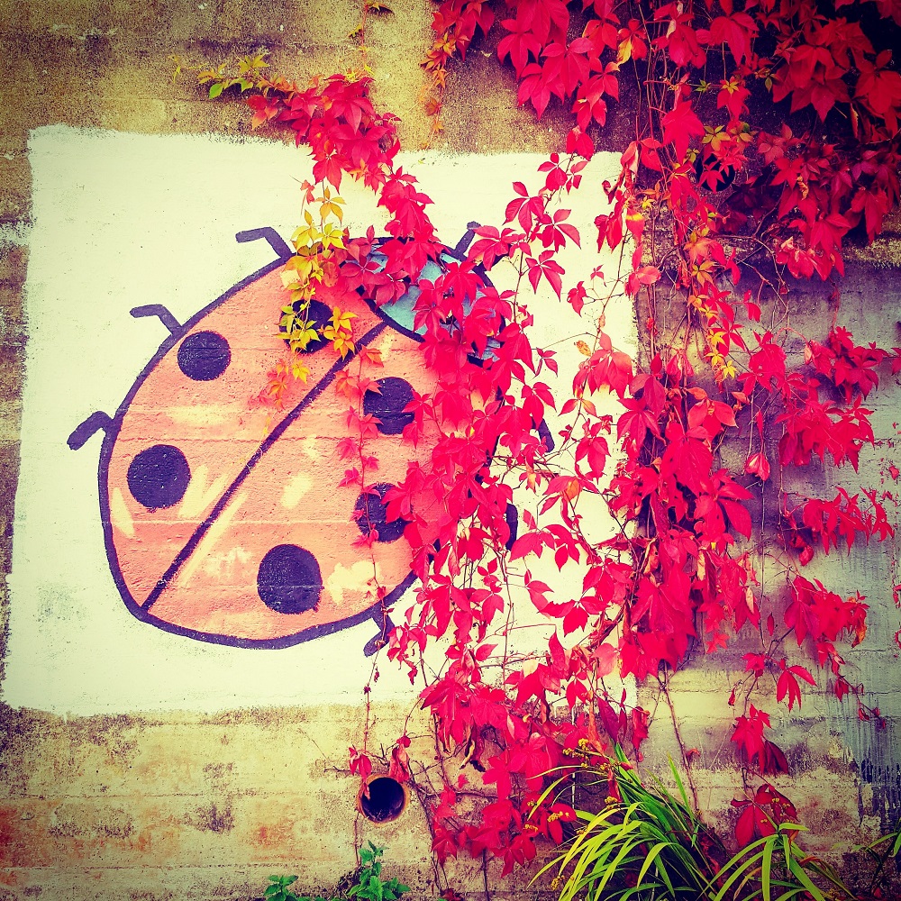 Way Back Wednesday To When My Hair Was Longer