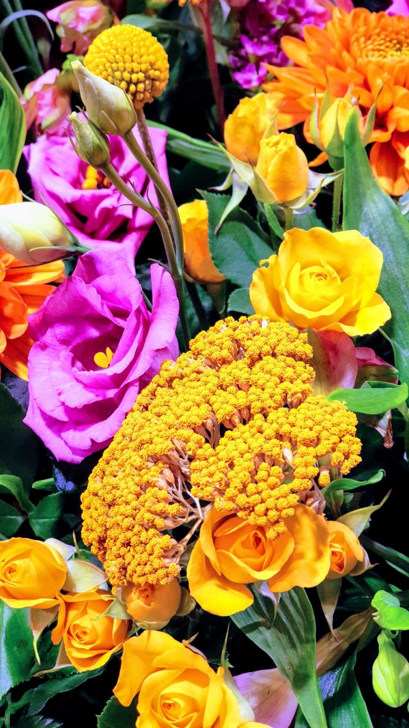 Fresh Flowers Friday