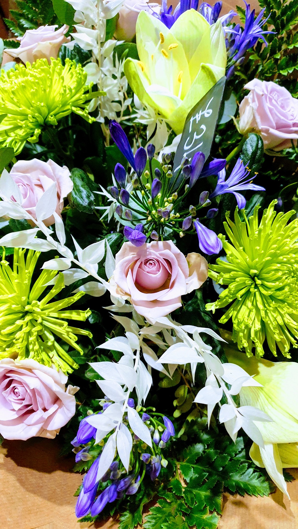 Love In The Mist: Wordless Wednesday Love In The Mist: Wordless Wednesday