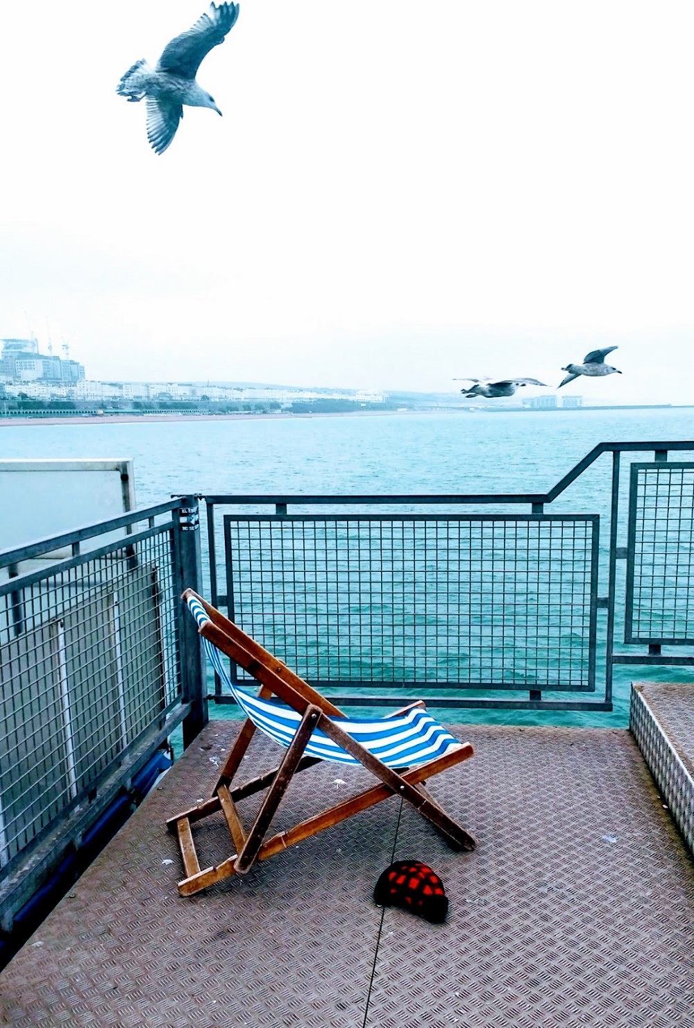 It's A Bit To Windy For The Log Flume Just Yet It's A Bit To Windy For The Log Flume Just Yet