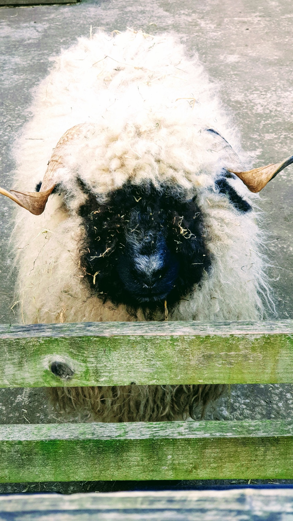 5 Random Photos And A Creative Mondays Link Up