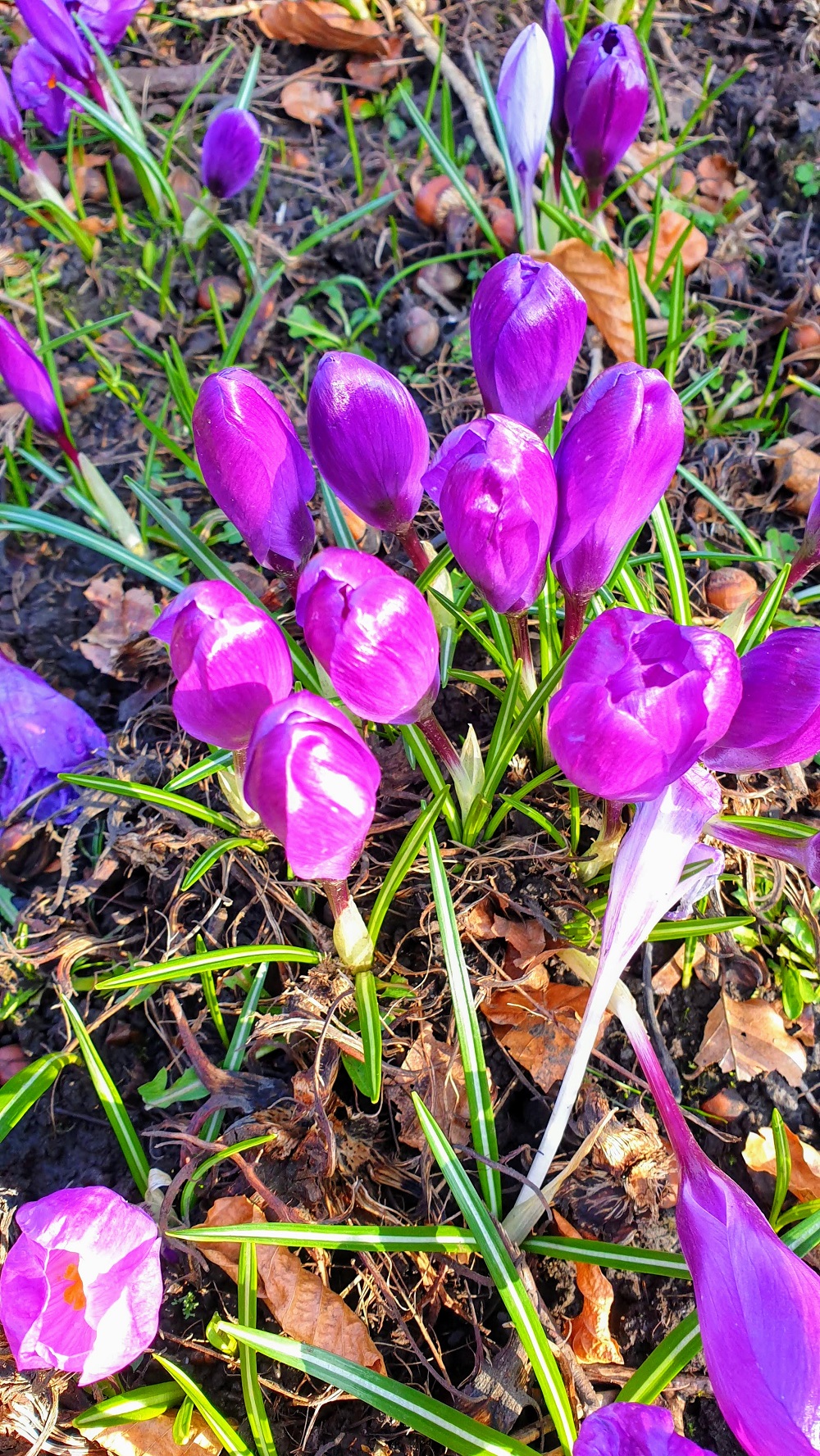 5 Random Photos And A Creative Mondays Link Up