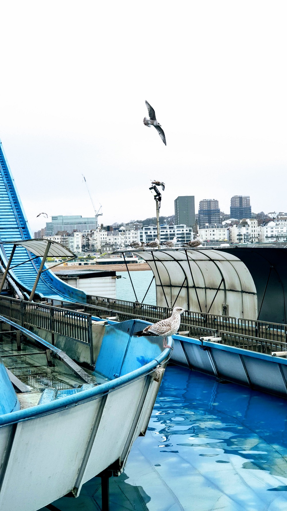 It's A Bit To Windy For The Log Flume Just Yet It's A Bit To Windy For The Log Flume Just Yet