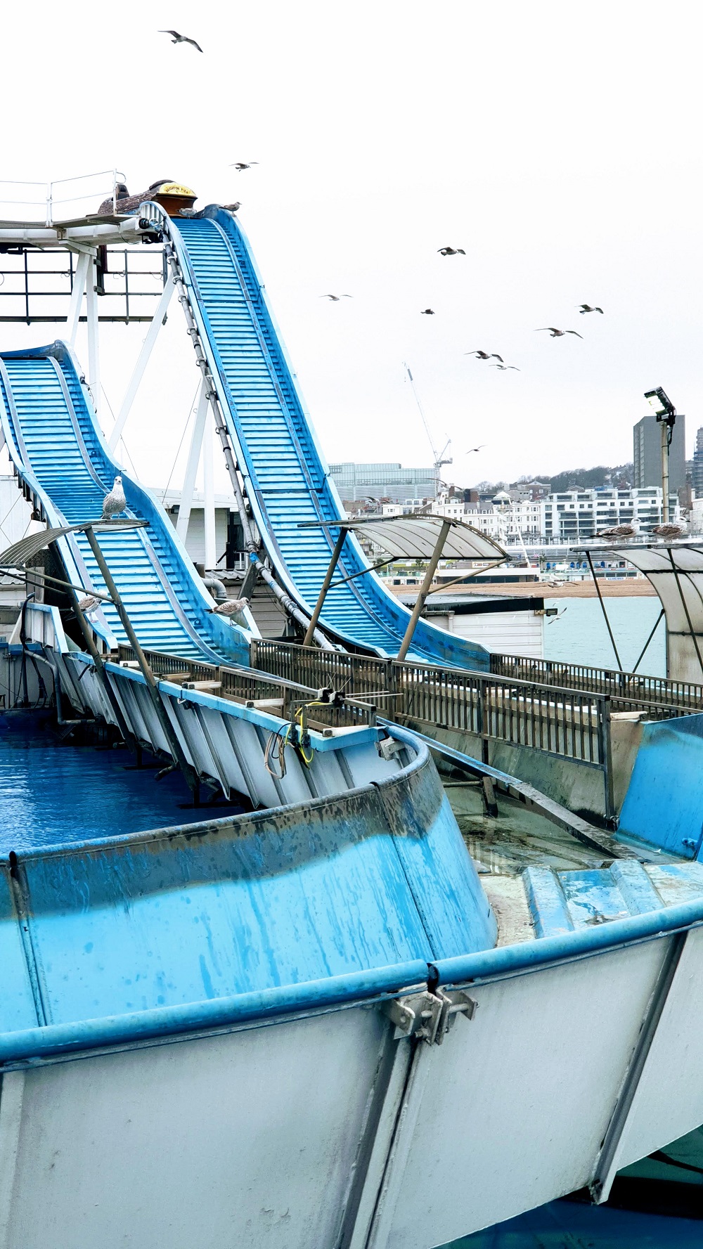It's A Bit To Windy For The Log Flume Just Yet It's A Bit To Windy For The Log Flume Just Yet