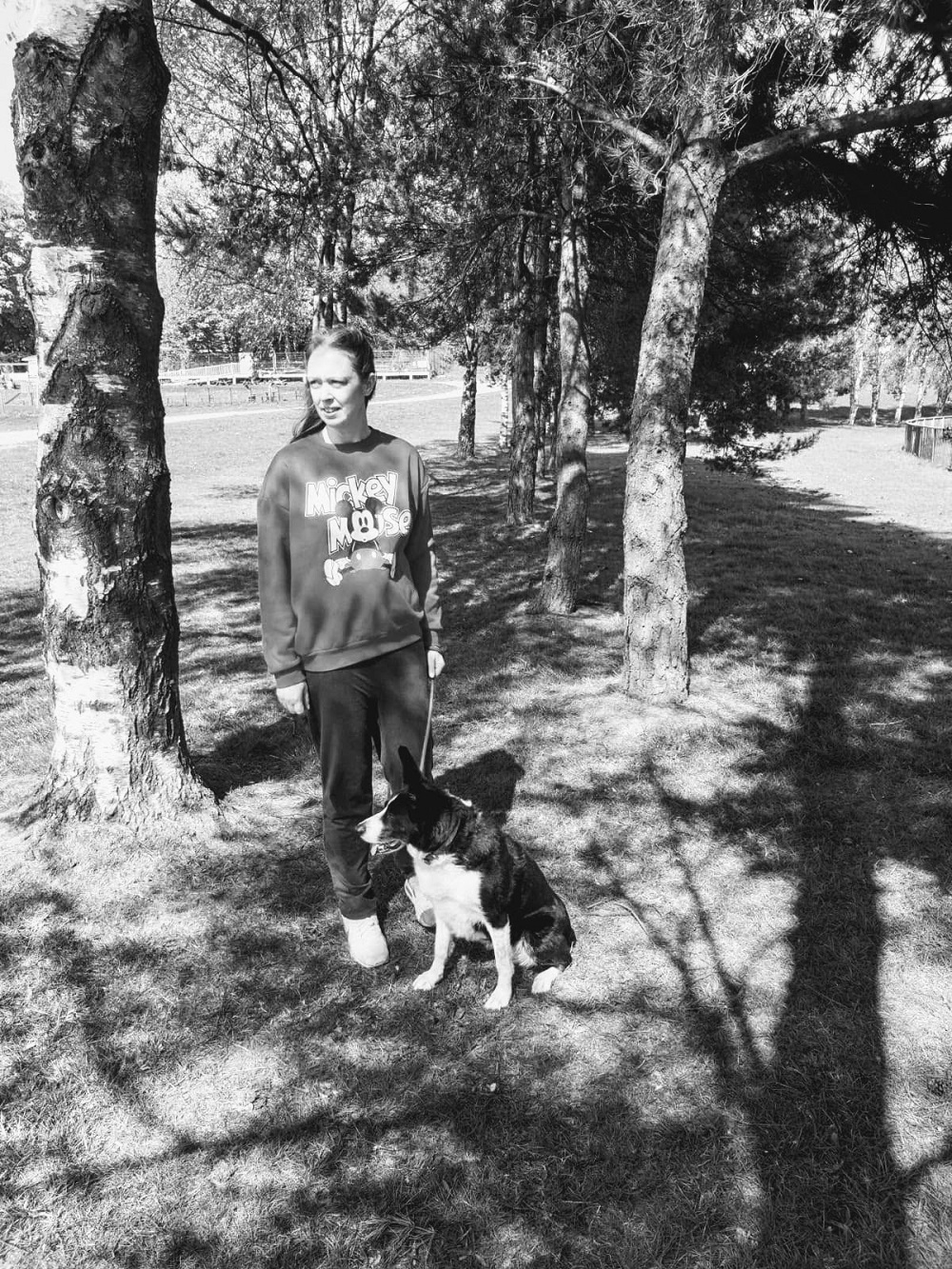 Highlight Of The Day And A Trip To The Park: 