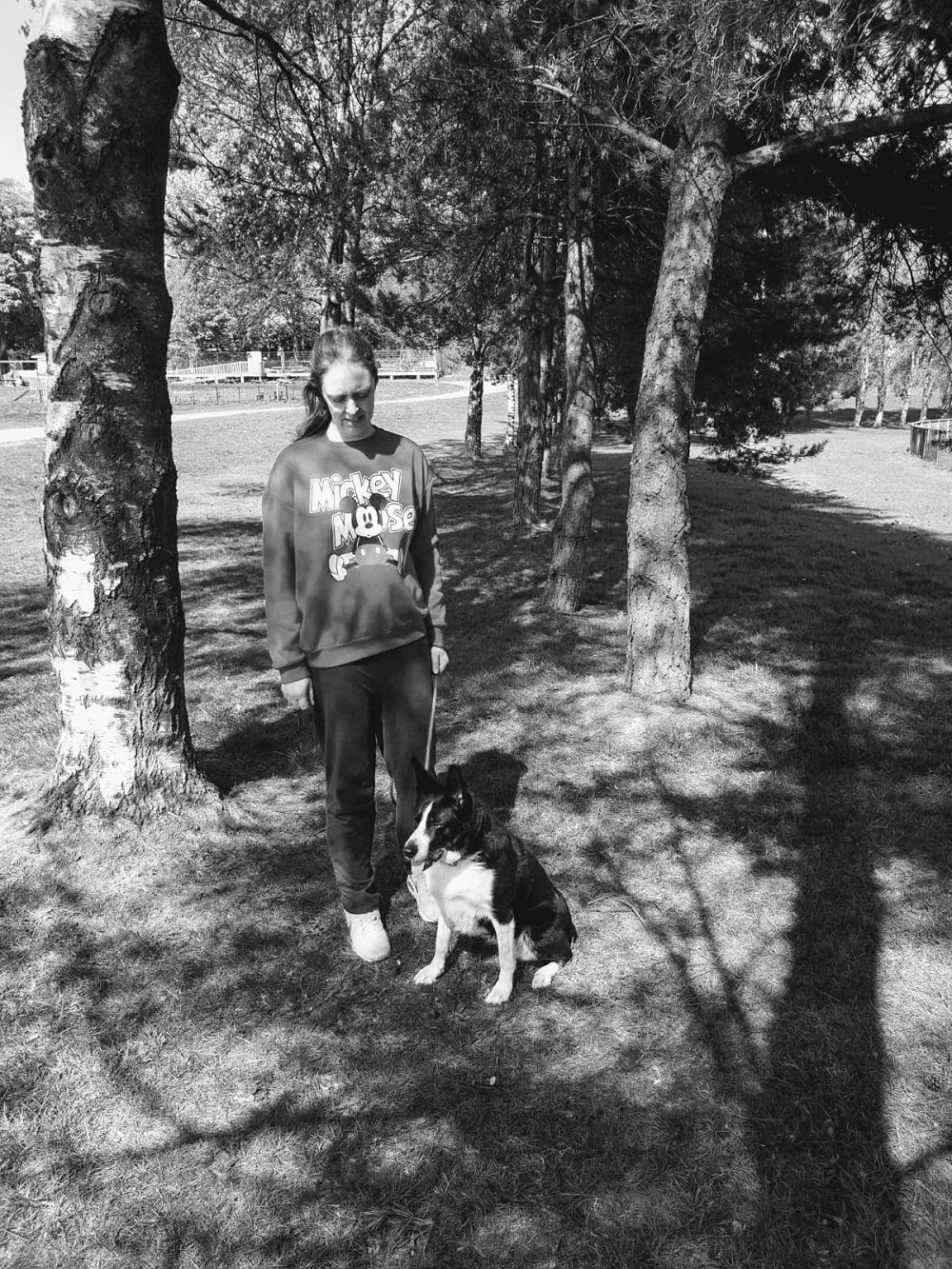 Highlight Of The Day And A Trip To The Park: 