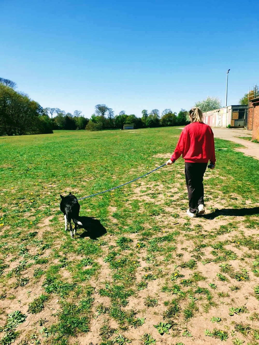 Highlight Of The Day And A Trip To The Park: 