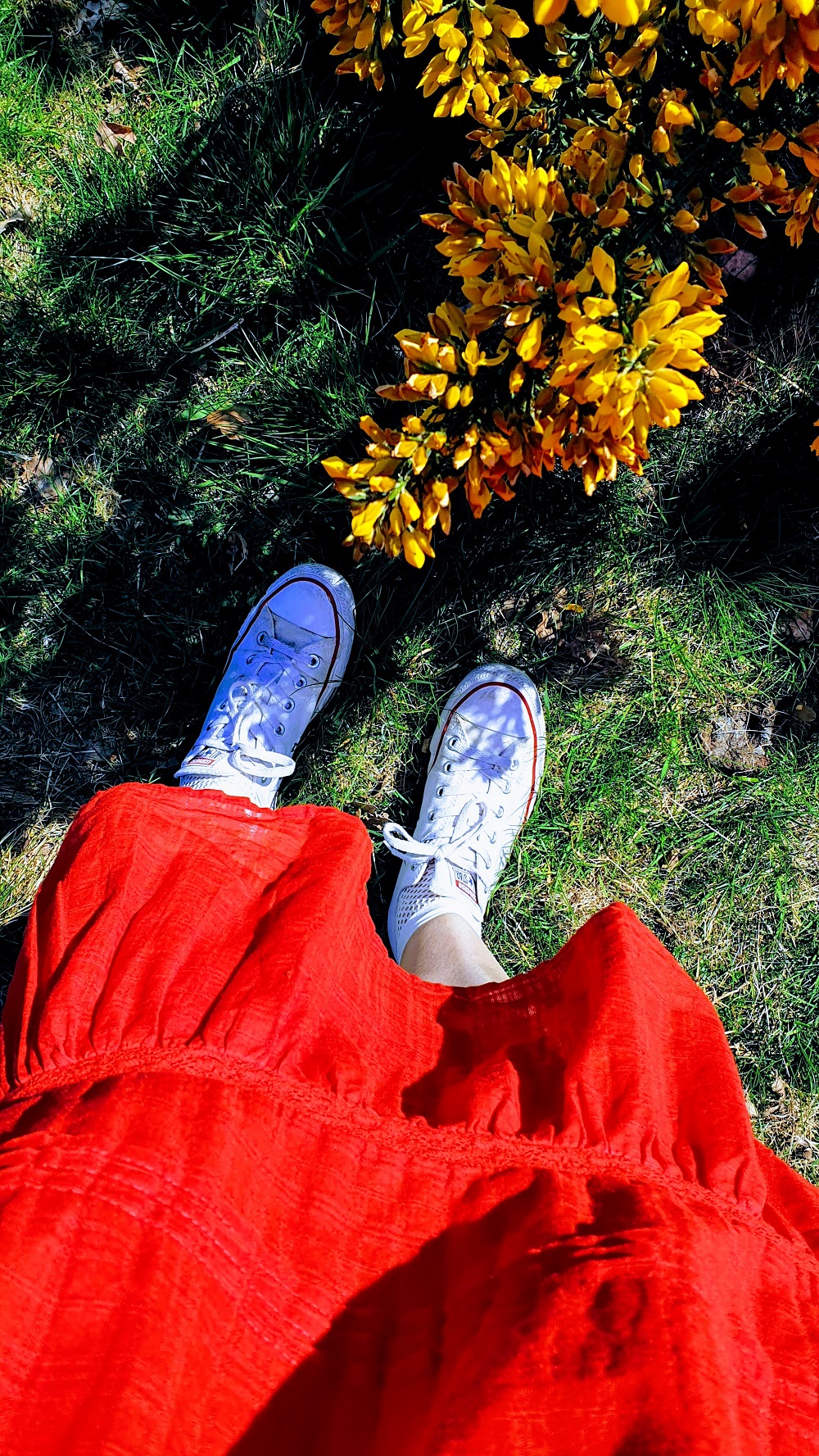 The Dress That Keeps Getting Compliments