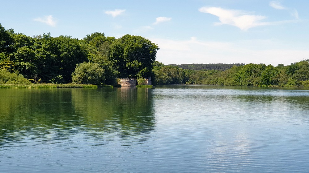 A Walk At Newstead Abbey