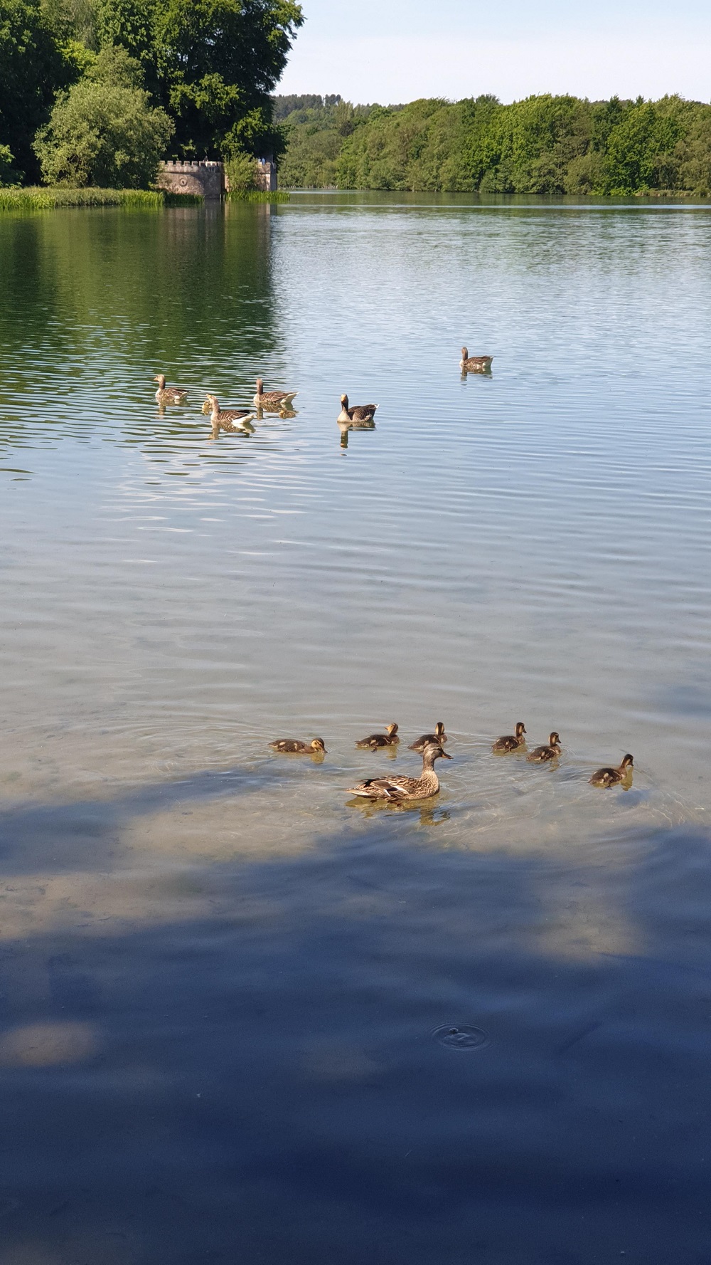 A Walk At Newstead Abbey