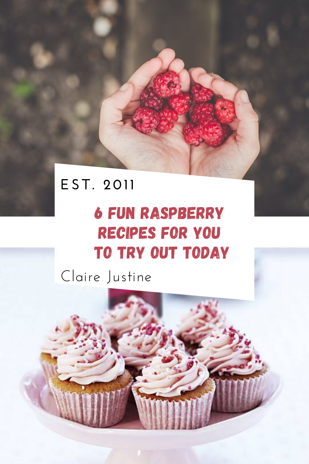 6 Fun Recipes with Raspberry To Try Out Today 6 Fun Recipes with Raspberry To Try Out Today