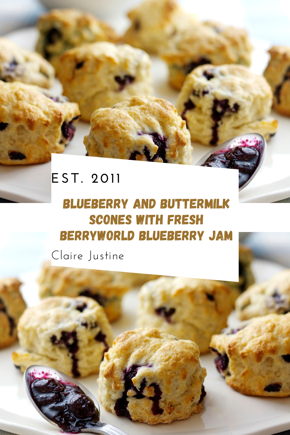 Blueberry And Buttermilk Scones