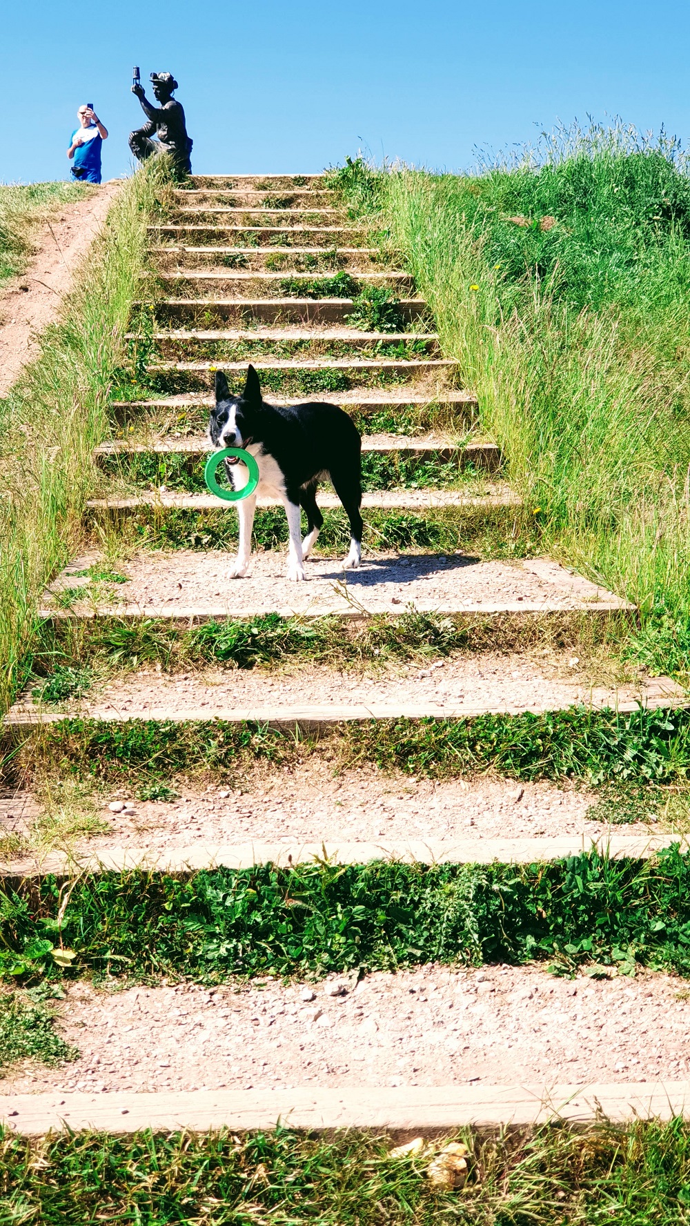 What If We Rewrite The Stars? 0ver 40 Fitness Over 40 Running Blogger