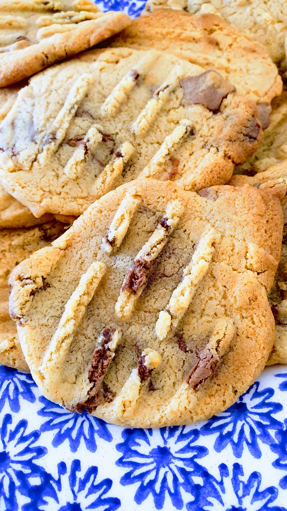 Warm Magic Stars Cookies: Also A Gluten Free Recipe Warm Magic Stars Cookies: Also A Gluten Free Recipe