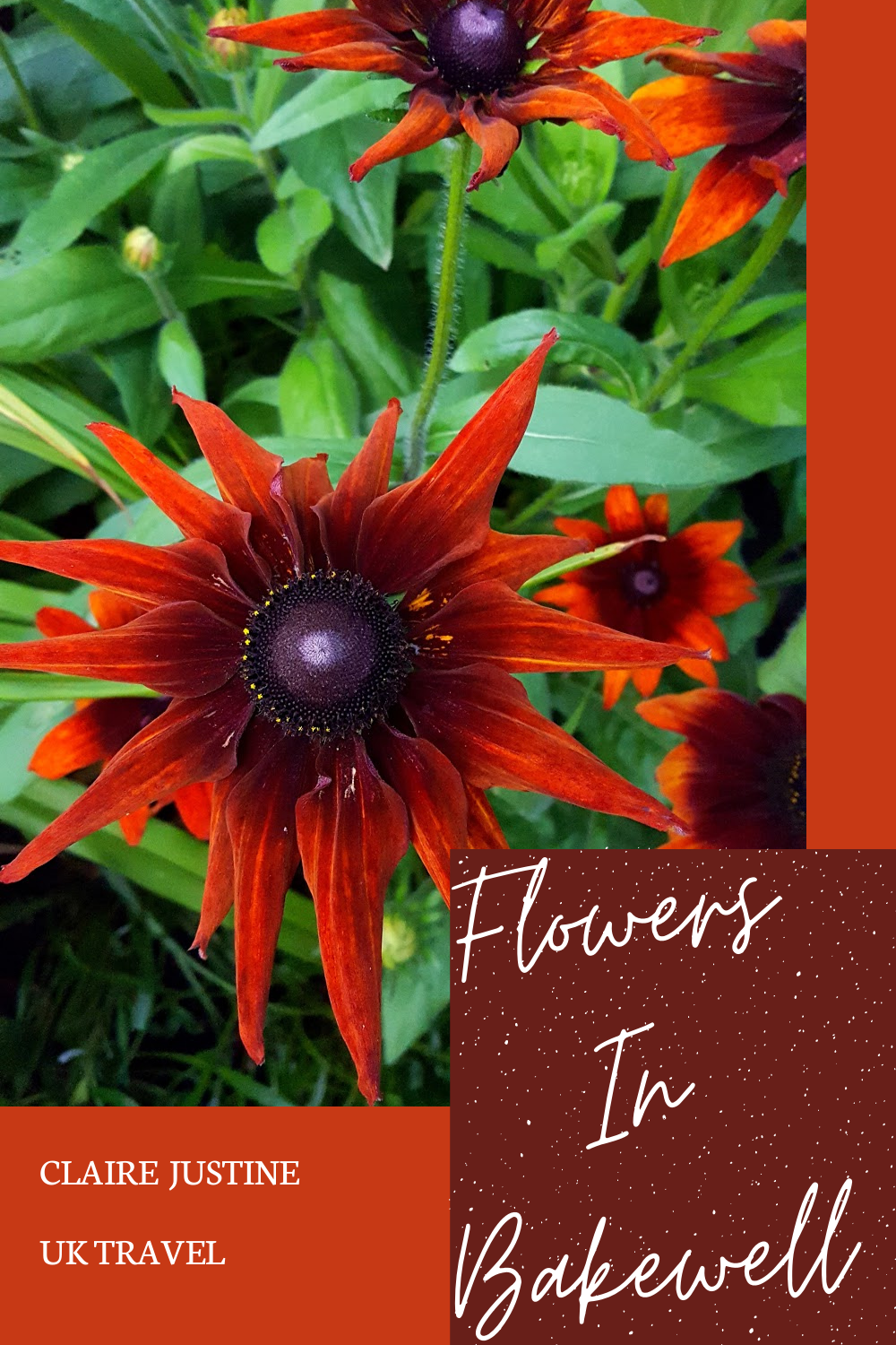 The Best Spots In Bakewell For Flower Lovers Flowers In Bakewell