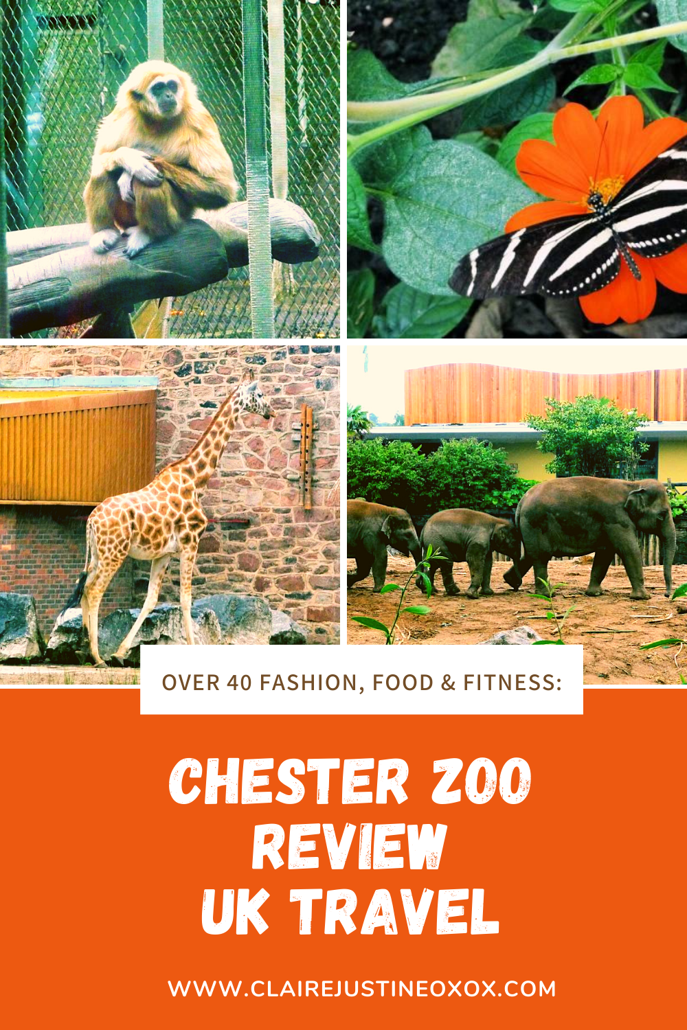 Chester Zoo Review UK Travel Days Out.