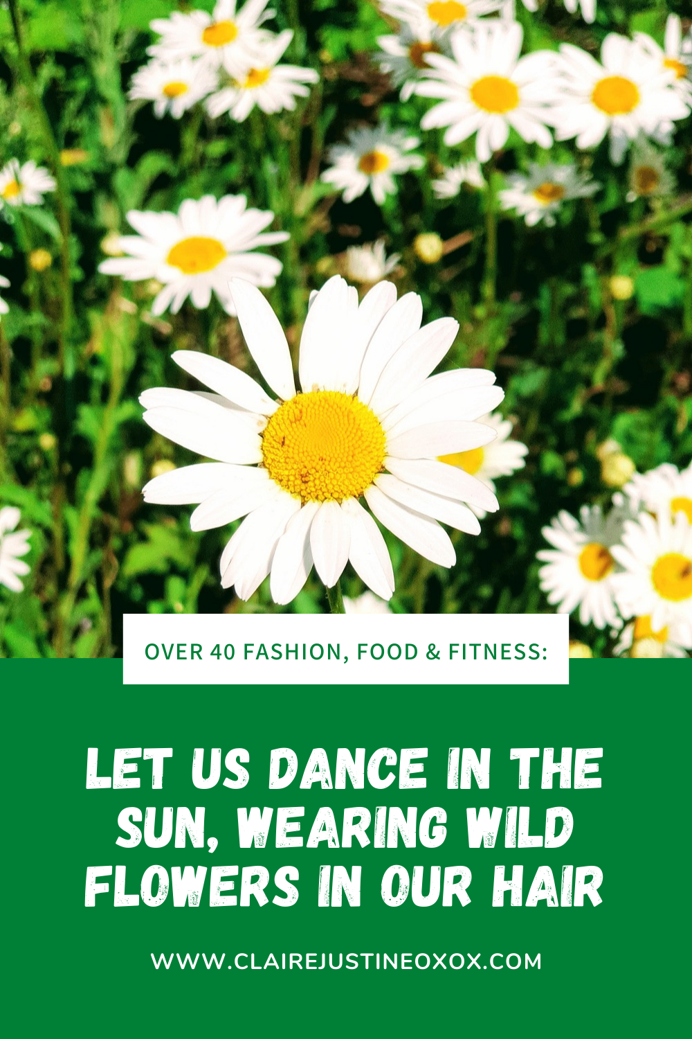 Let Us Dance In The Sun, Wearing Wild Flowers Flowers