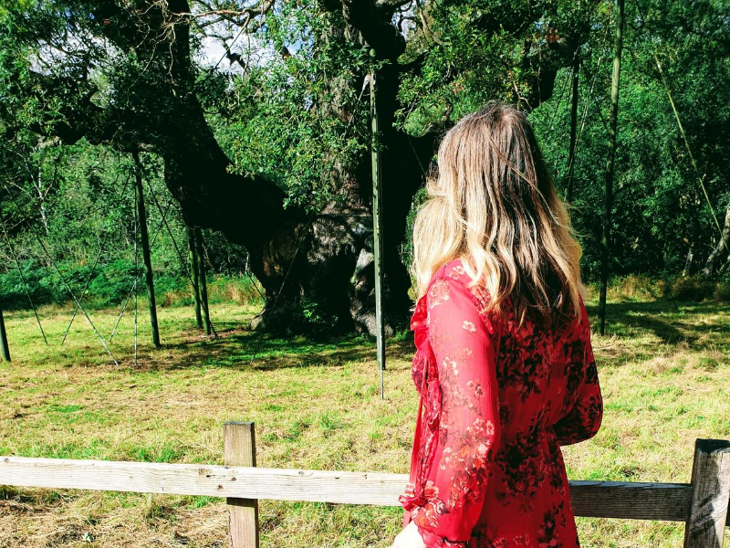 The Major Oak In Sherwood Forest & Fashion Over 40