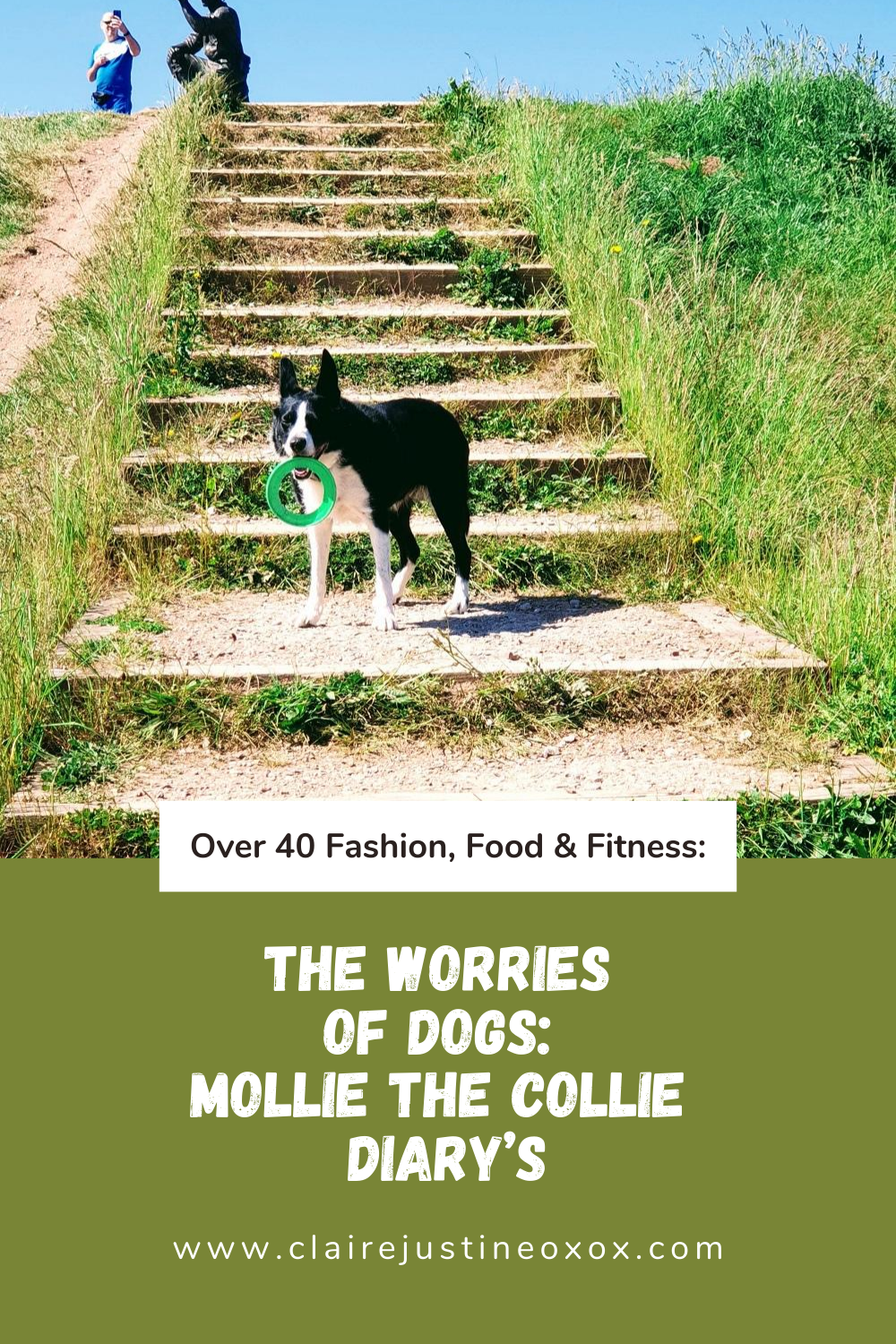 The Worries Of Dogs: Mollie The Collie Diaries The Worries Of Dogs: Mollie The Collie Diaries