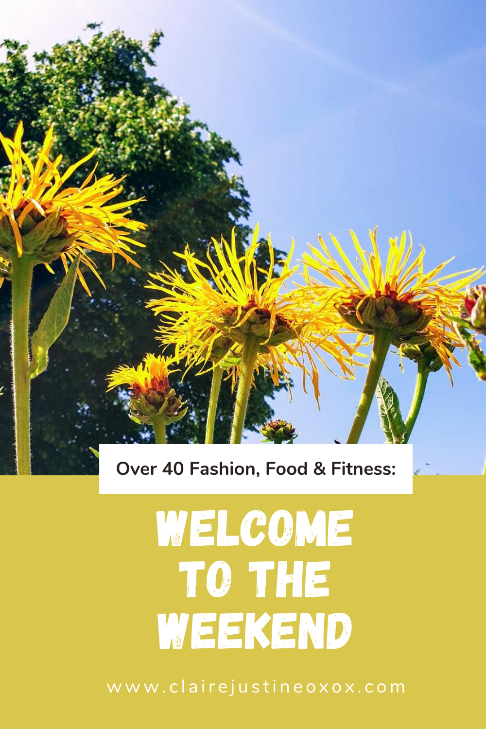 4/07 Welcome To The Weekend Blog Hop: Link Up Your Favourite Posts. Welcome to the weekend blog hop again this weekend everyone.Thanks for stopping by and linking up to the weekend blog hop.