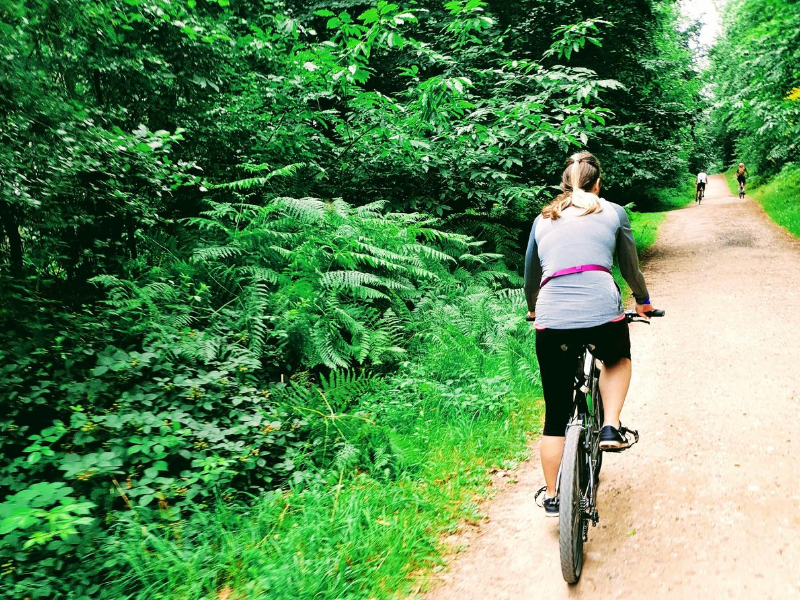 I Want To Ride My Bicycle I Want To Ride It Where I Like I Want To Ride My Bicycle I Want To Ride It Where I Like