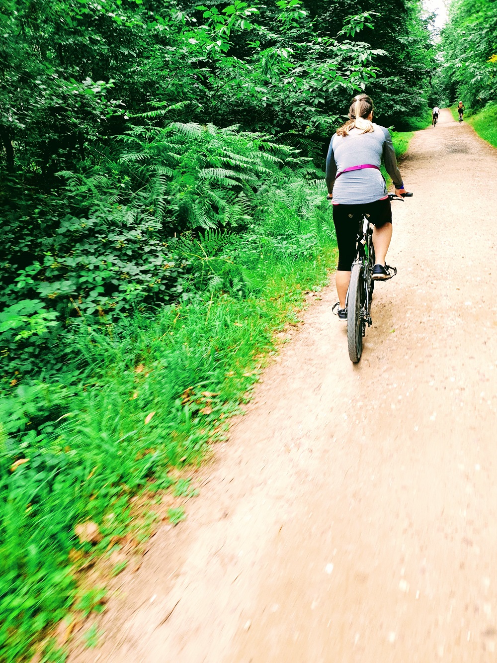 I Want To Ride My Bicycle I Want To Ride It Where I Like fun in the forest