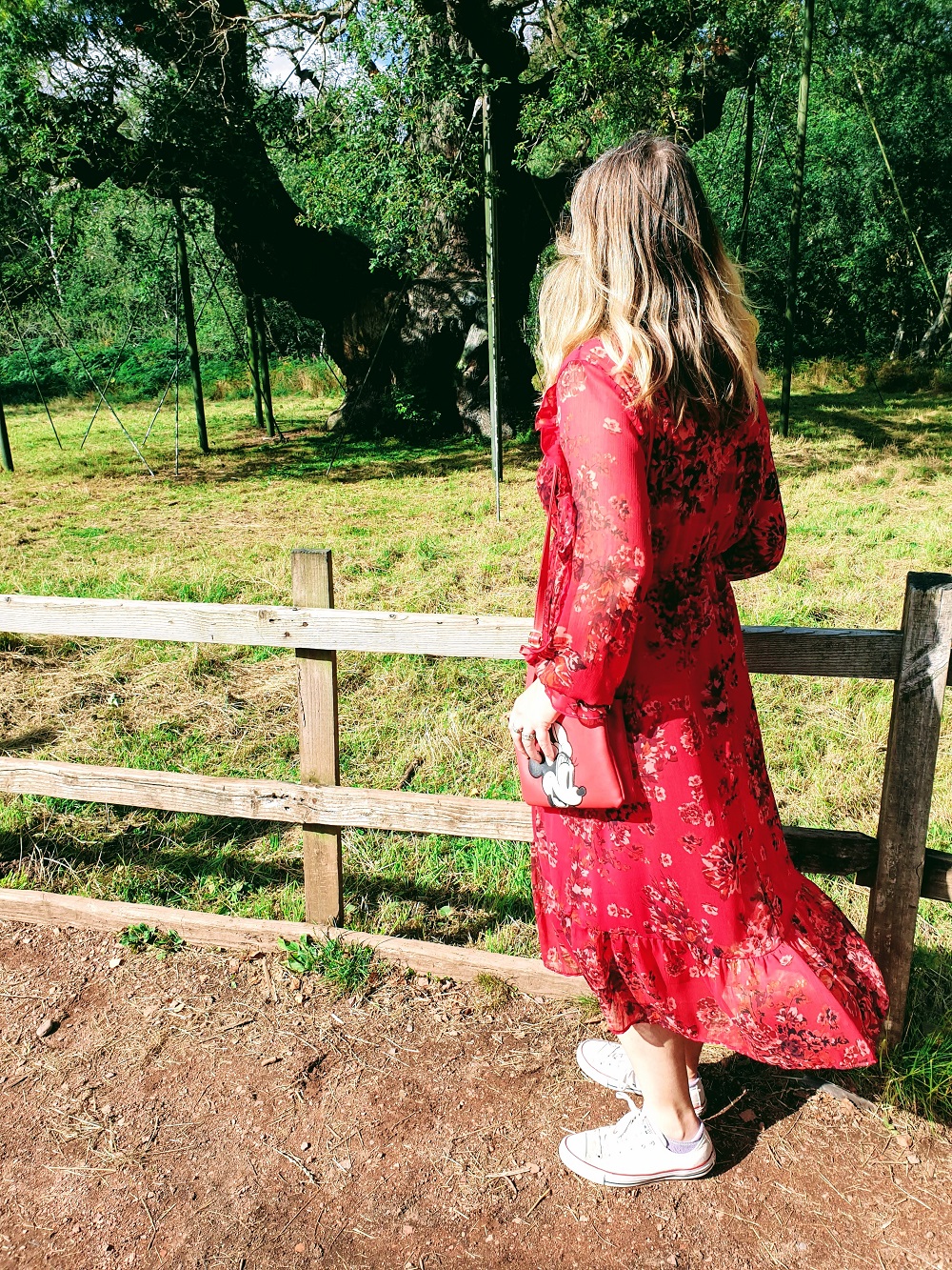 The Major Oak In Sherwood Forest & Fashion Over 40