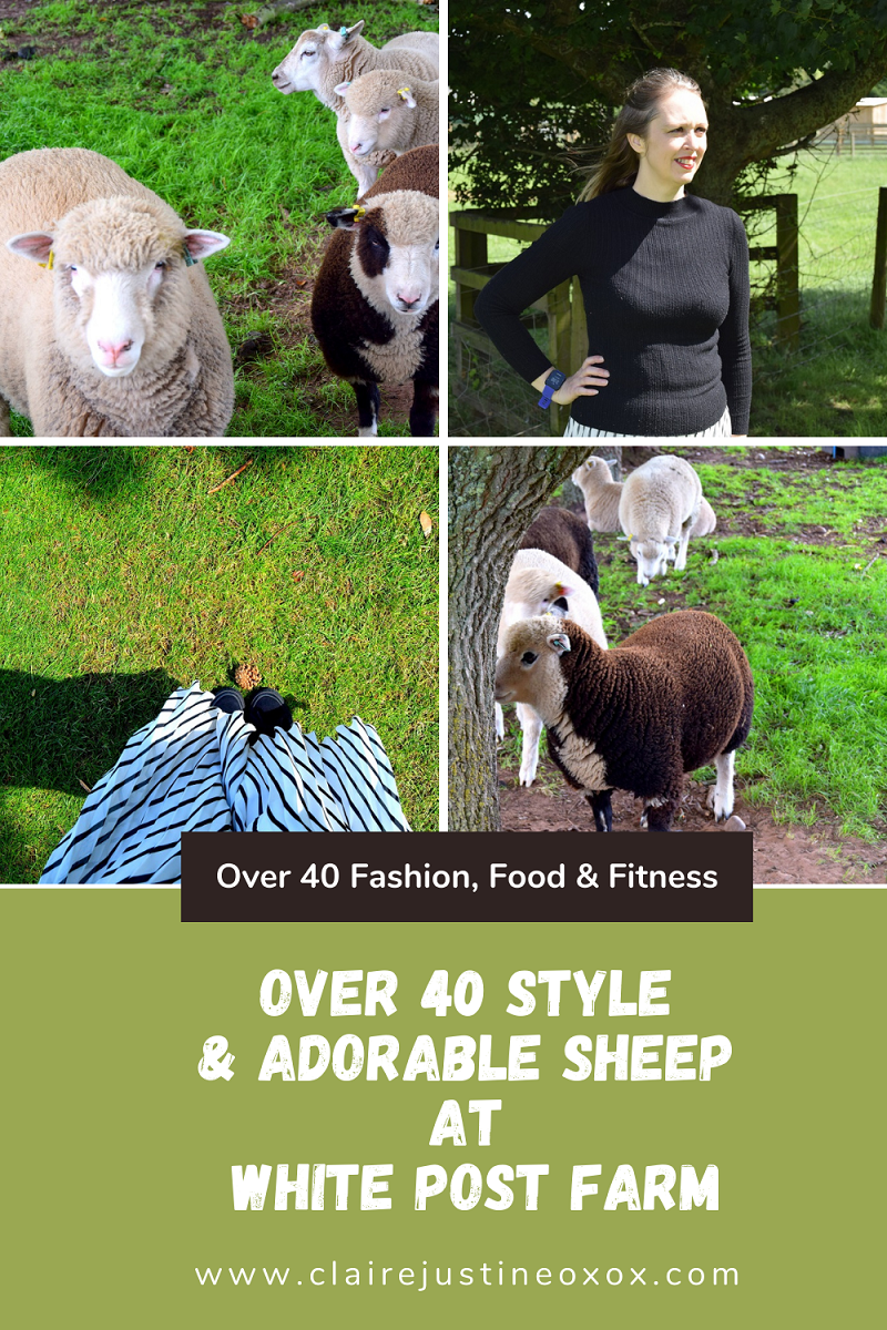 Over 40 Style & Adorable Sheep At White Post Farm