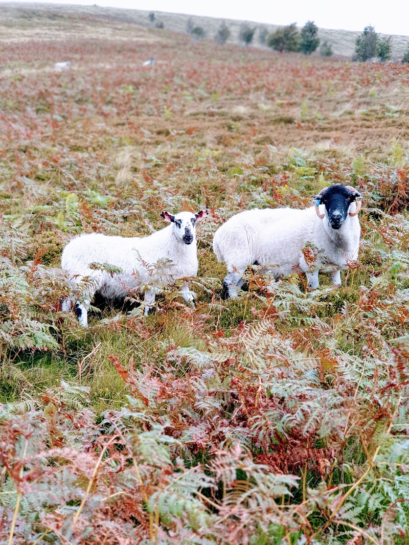 A Day Out In Derbyshire: Three Places To Visit A Day Out In Derbyshire: Three Places To Visit