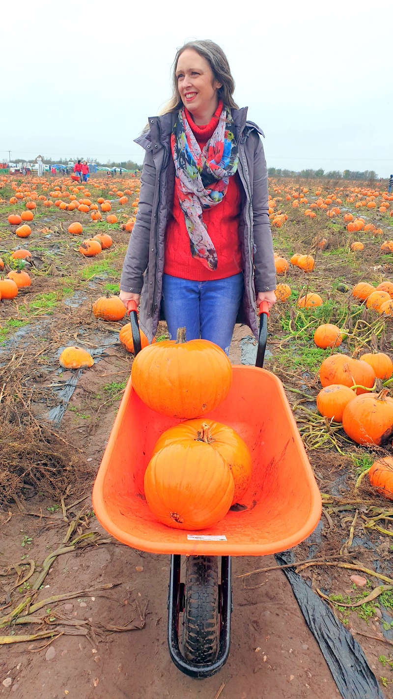 Visit To The Pumpkin Farm And Some Recipes To Try