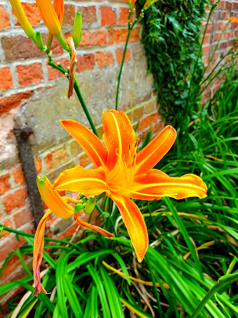A Walk At Rufford Abbey County Park