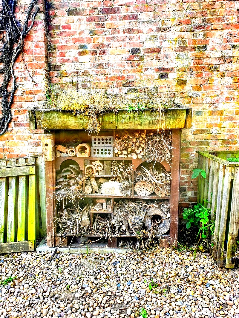 A Walk At Rufford Abbey County Park