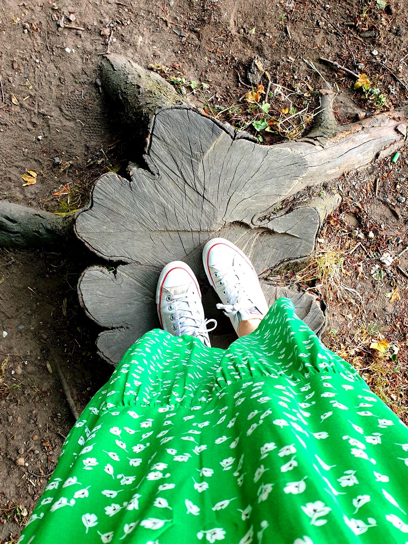 A Walk At Rufford Abbey County Park