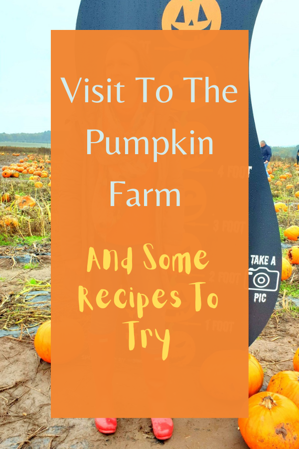 Visit To The Pumpkin Farm And Some Recipes To Try