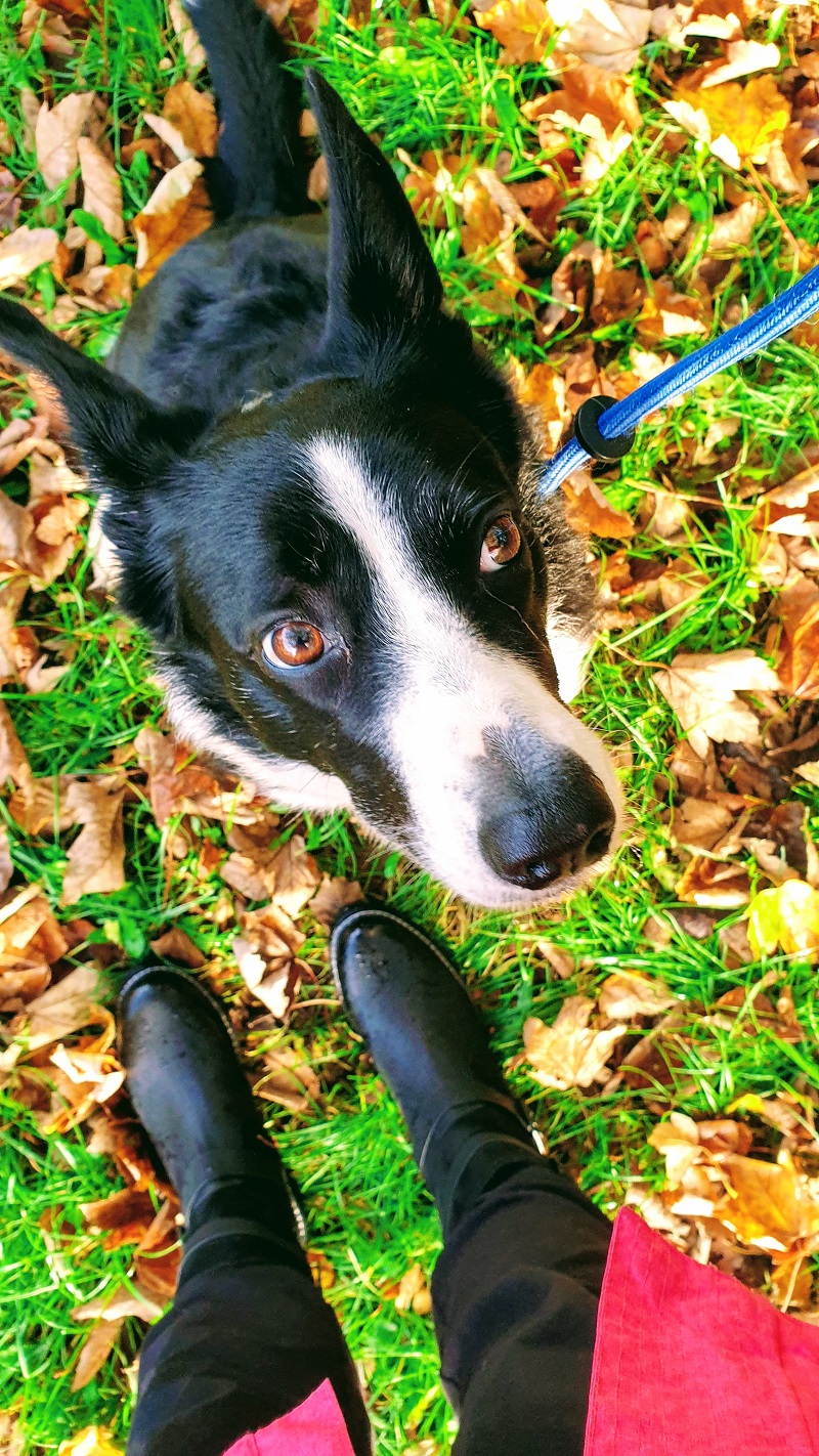 Weekend Thoughts And A New Pair Of Walking Boots