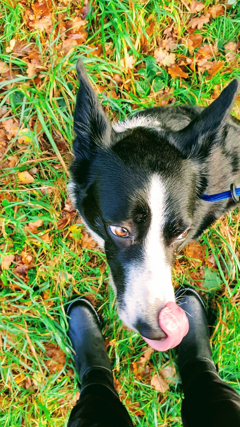 Weekend Thoughts And A New Pair Of Walking Boots