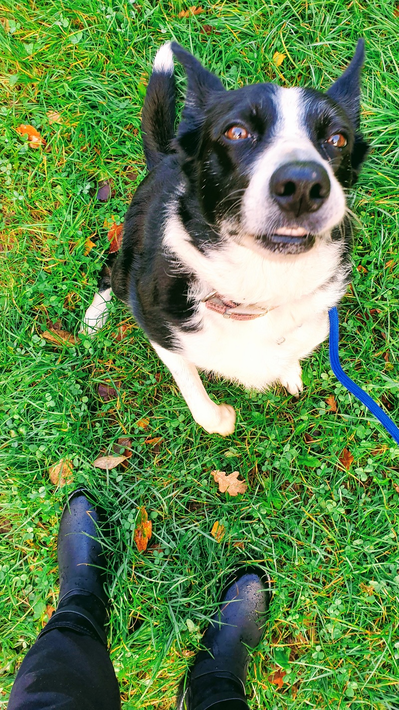 Weekend Thoughts And A New Pair Of Walking Boots