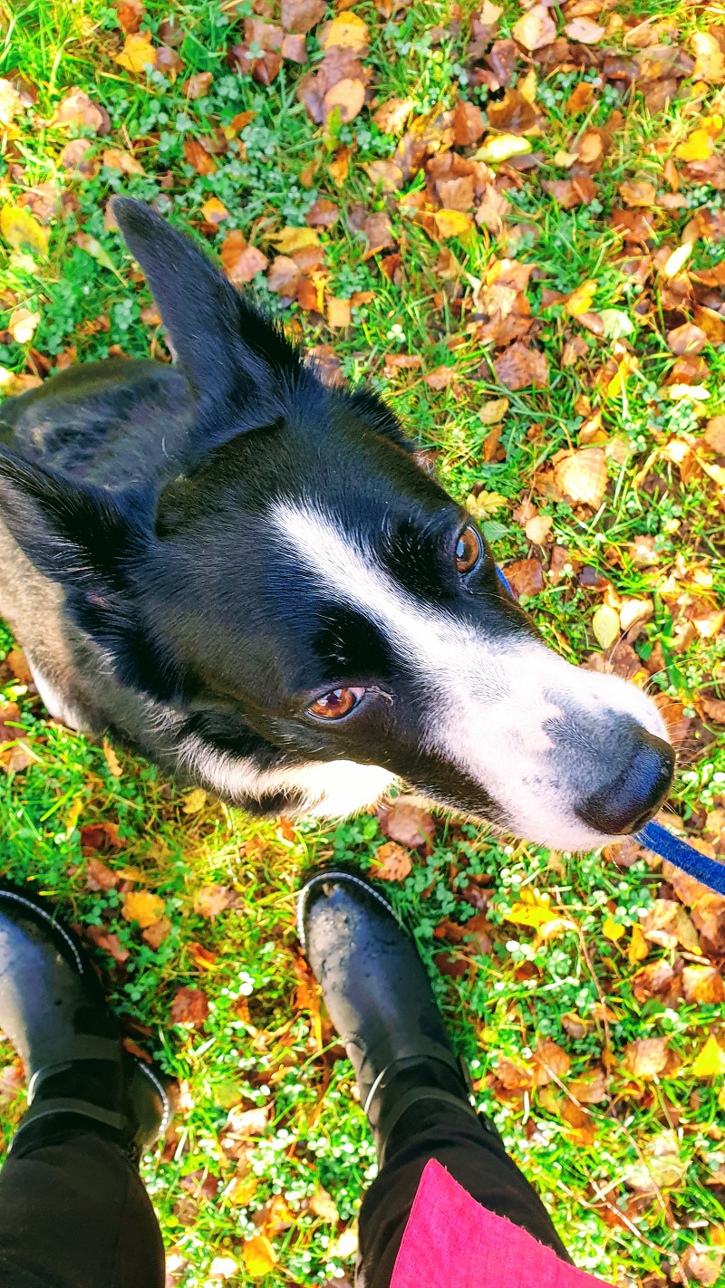 Weekend Thoughts And A New Pair Of Walking Boots