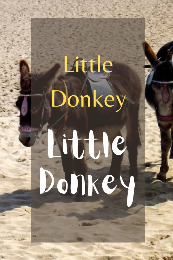 Little Donkey: Wordless Or Not So Wordless Wednesday Little Donkey: Wordless Or Not So Wordless Wednesday