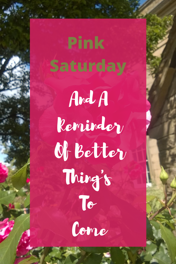 Pink Saturday And A Reminder Of Better Thing's
