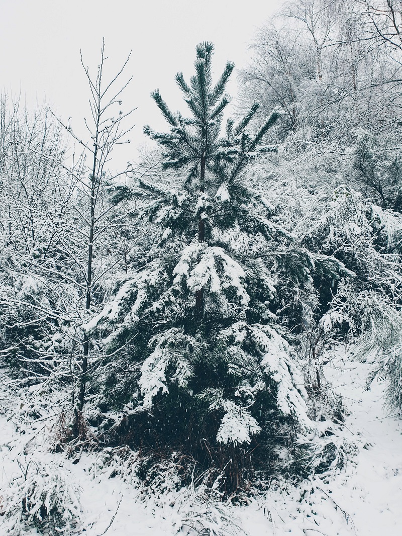 Rest In Peace Dad, We Love You So Much...