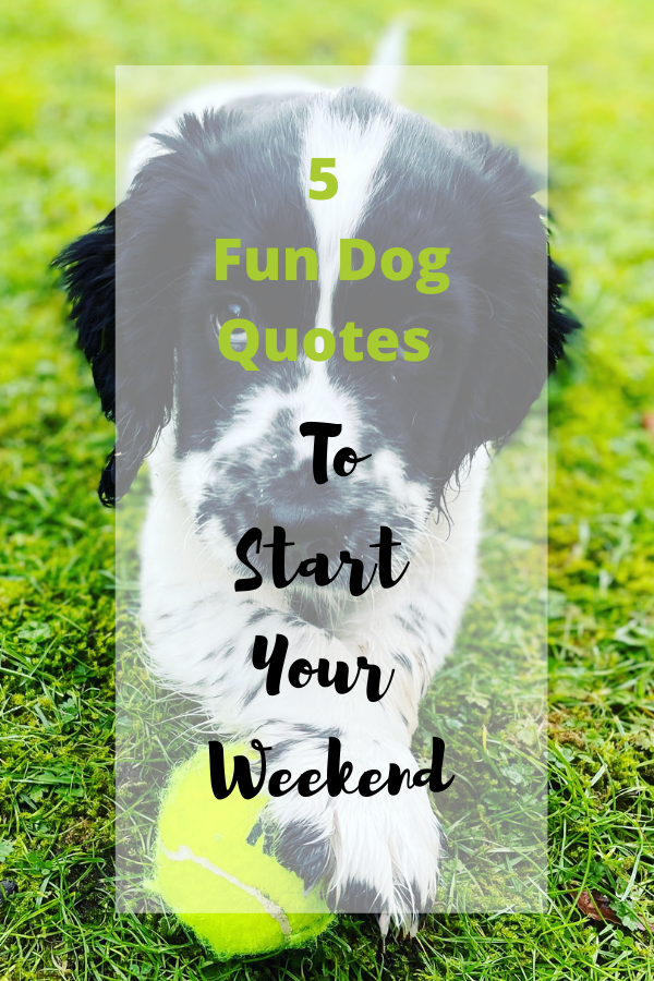 5 Fun Dog Quotes To Start Your Weekend