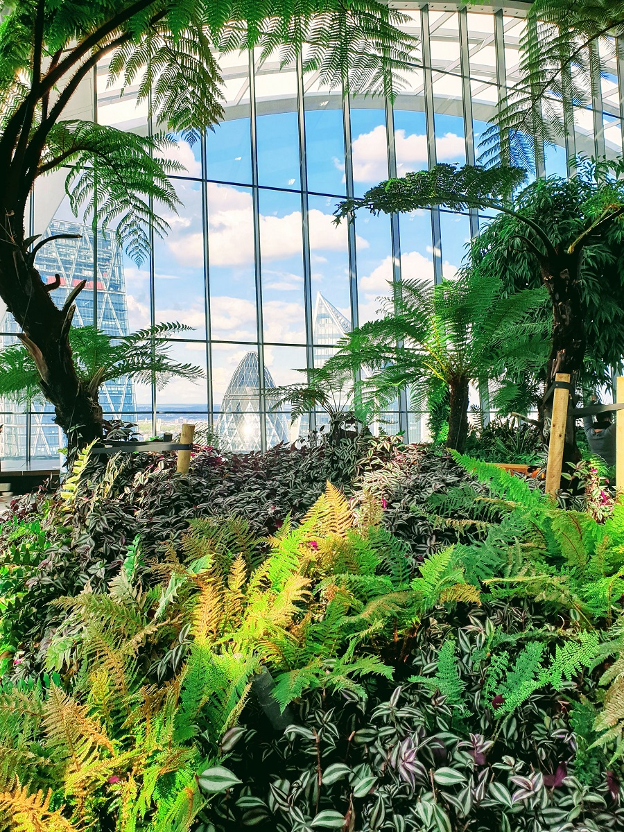 A View From Sky Gardens Also The Effects From Stress A View From Sky Gardens Also The Effects From Stress