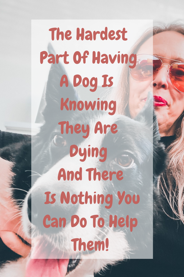 The Hardest Part Of Having A Dog Is Knowing They Are Dying And There Is Nothing You Can Do To Help Them!