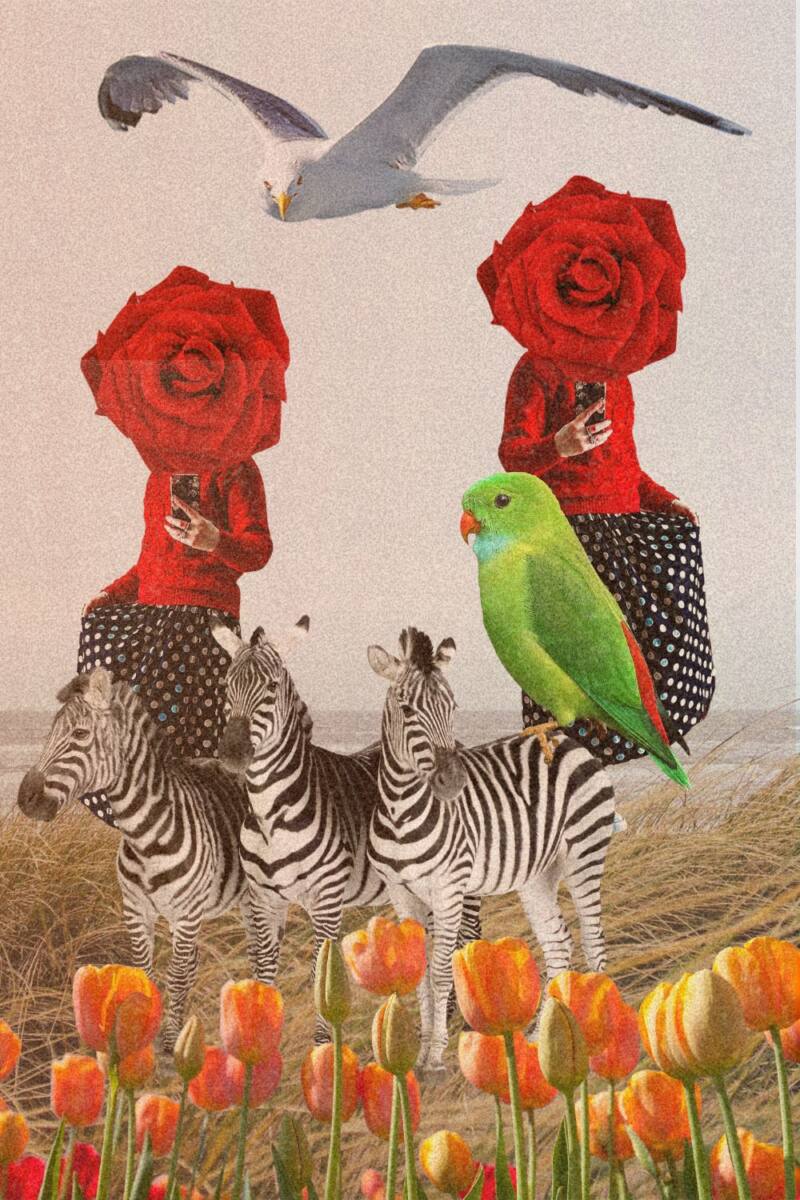 The Jumpers Are Back Out!!