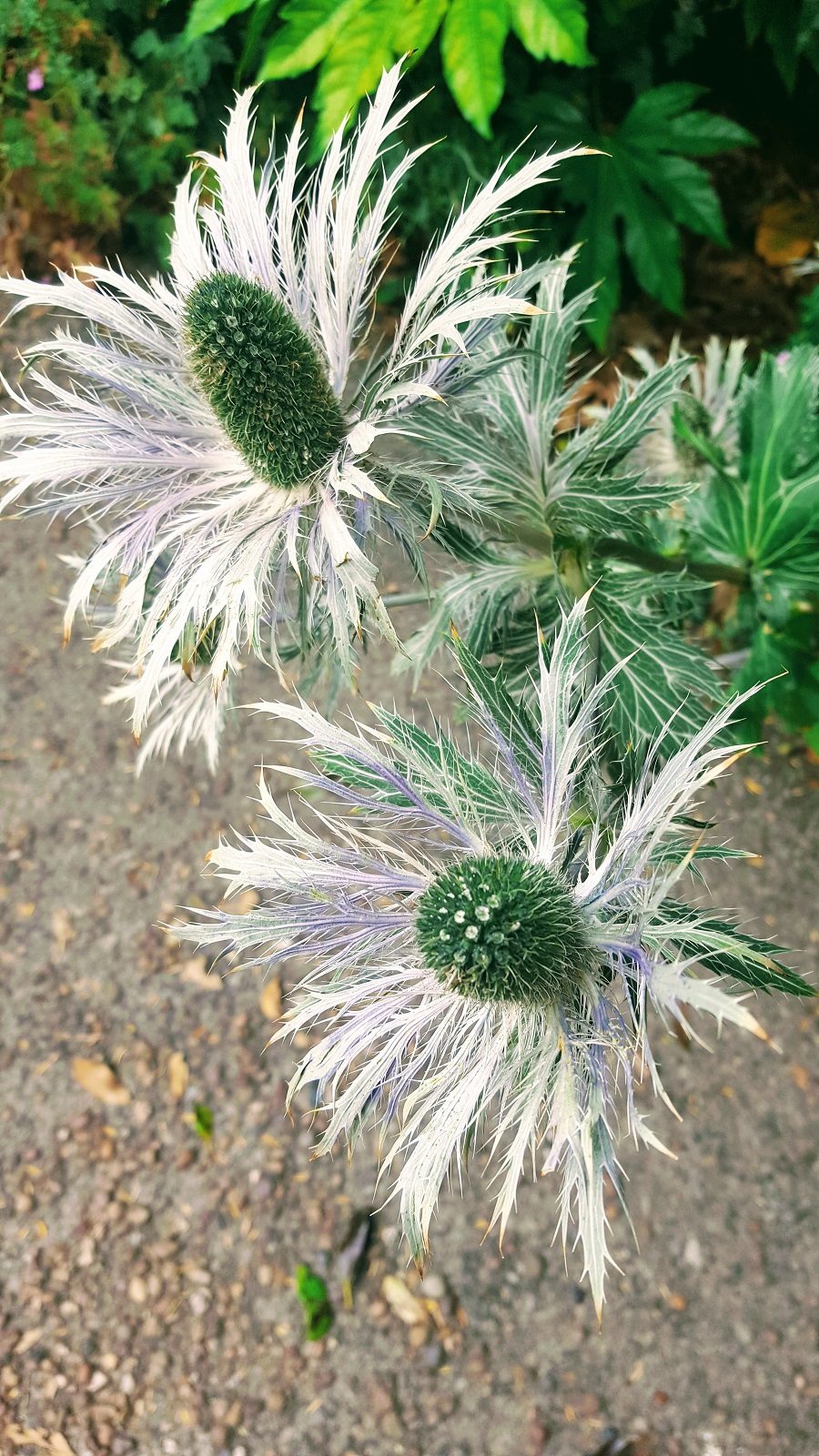 A Day Out In York: Way Back Wednesday Style Post: