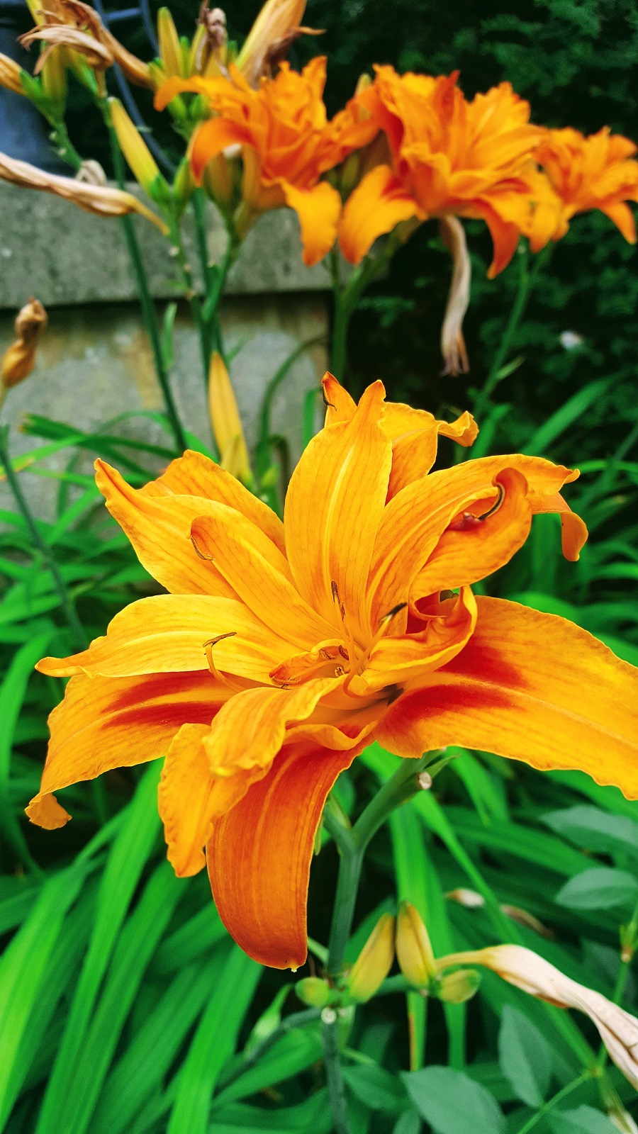 A Day Out In York: Way Back Wednesday Style Post: